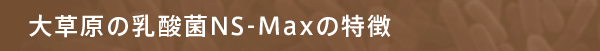 大草原の乳酸菌NS-Maxの特徴