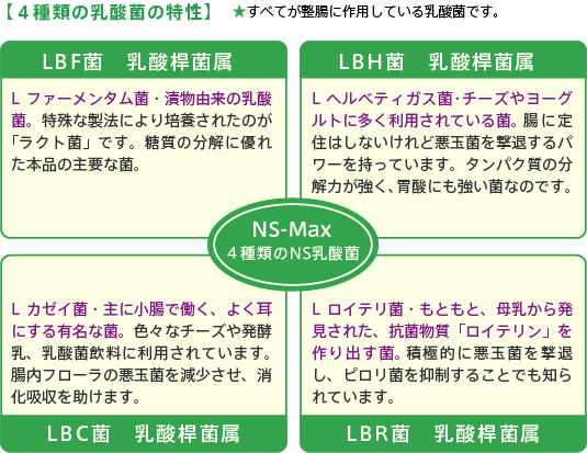 Ns-Max 4種類の乳酸菌の特性