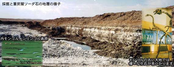 内モンゴルのトロナ鉱石の層
