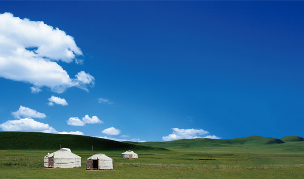 大草原モンゴル生まれの乳酸菌NS-Max』のおはなし - プラネットショップ